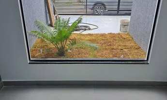 Imagem 6: QNN 24 Guariroba