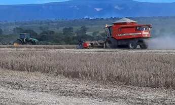 Imagem 3: Fazenda a venda Alvorada do Norte - GO