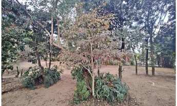 Imagem 4: Terreno à venda, 1500 m² por R$ 360.000,00 - Cafezal I - Itupeva/SP