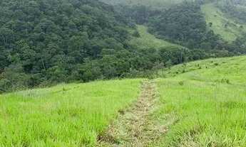 Imagem 7: Vende-se terreno com ótima topografia com metragem de 500m