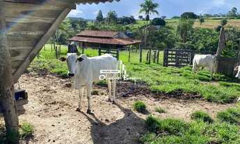 Imagem 6: Chácara a 2.8 km de Goianápolis com 9.6 há, com Casa Sede e 2 Represas