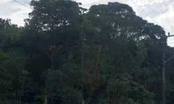 Imagem 2: Lotes - com 264m² -localizado em balneário piçarras - a 90m da br 101