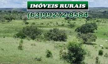 Imagem 2: Fazenda 104 Alqueires Beirada Asfalto