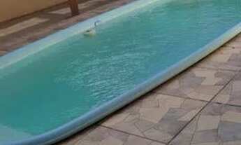 Imagem: Sobrado incrível navegantes SC