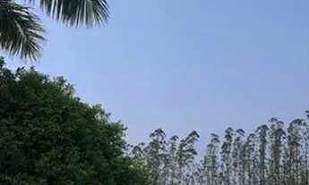 Imagem 7: Sítio na Fazenda de Dentro - Biguaçu