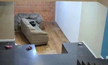 Imagem 3: Alugo piso inferior de sobrado com 2 quartos no bairro Ipiranga, São José/SC