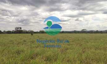 Imagem 7: Fazenda dupla aptidão Norte Tocantins