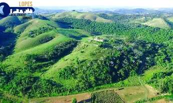 Imagem 12: GATANRA JÁ SEU TERRENO