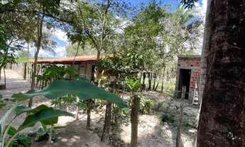 Imagem 6: Casa no interior de Altos-PI