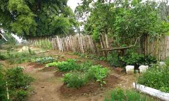 Imagem 3: SITIO RURAL em SARAPUÍ - SP, rural