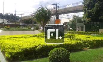 Imagem 4: Conjunto, 560 m² - venda por R$ 4.480.000,00 ou aluguel por R$ 47.159,21/mês - Vila Olímpi