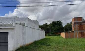 Imagem: Lote Augusta Mota - Localização Privilegiada