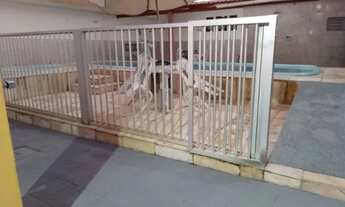 Imagem 6: Carnaval Nesta Excelente Casa 05 quartos climatizados Na Redinha Nova!