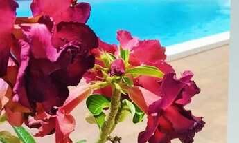 Imagem 2: Casa Temporada - Arembepe