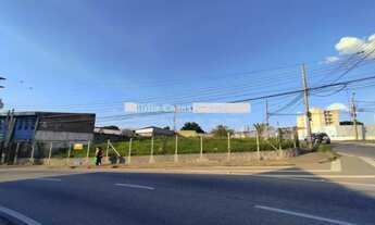 Imagem 7: Excelente terreno comercial