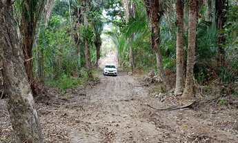 Imagem 4: Lotes parcelados para chácara em São Luis