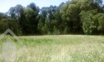 Imagem 4: Propriedade Rural no bairro Ana Rech