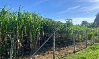 Imagem 3: Ocasião; Chácara 1,20 alqueires, Itaberaí
