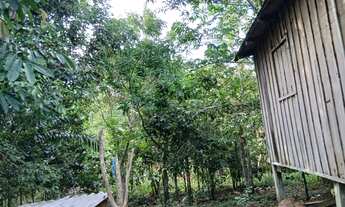 Imagem 4: Vende este sítio