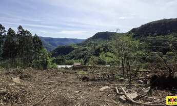 Imagem 2: Sítio / Chácara para Venda em Nova Petrópolis, Linha Gonçalves Dias