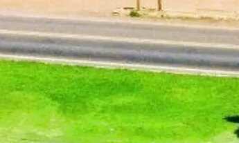 Imagem: EXCELENTE ÁREA P/ INVESTIR EM PORANGATU