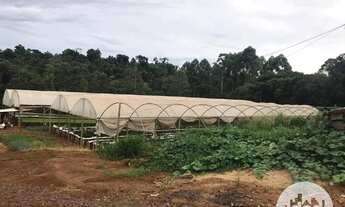 Imagem 3: Terreno à venda, Distrito de São João - Cascavel/Pr