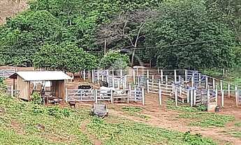 Imagem 5: REF: Office2401 Fazenda Cubatão com 8,5 Alqueires, Faina-GO codigo: 58774