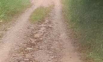 Imagem 7: Terreno com Área Verde em Local Tranquilo