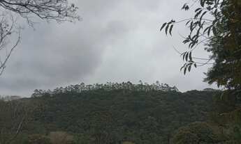 Imagem 5: Lindo terreno abaixo do valor de mercado apenas 47 mil reais