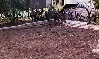 Imagem 4: Casa comercial no bairro Belvedere