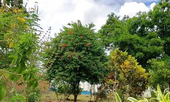 Imagem 3: Terreno para venda com 361 m2 na Rua do Catu - Alagoinhas - BA