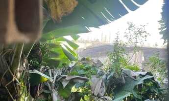 Imagem 2: Terreno à venda Assunção - São Bernardo do Campo - SP