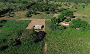 Imagem 2: FAZENDA DE 52 HEC DE PORTEIRA FECHADA A 10 KM DE BURITIS - MG