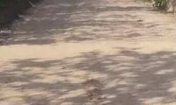 Imagem 4: Vende ou trouco Chácara com venda por R$80.000