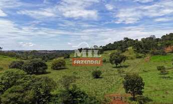 Imagem 4: Chacara 20 mil m2 Goianira - GO