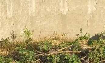 Imagem 4: LOTE SETOR LUCY PINHEIRO GOIÂNIA