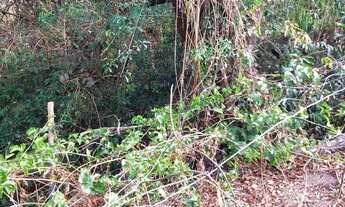 Imagem 5: Chacara em areias pedro leopoldo mil metros não tem escritura mas tem contrato ac.carro