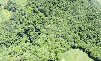 Imagem 4: Área de terra com potencial de vista à venda em Picada Café na Serra Gaúcha