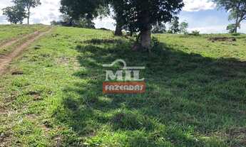 Imagem 3: Fazenda em Baliza-GO. Área Total: 820 Alqueires (3.949 Há)