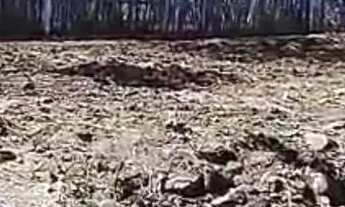 Imagem 4: Vendo Sítio/Chácara em Santo Antônio da Patrulha