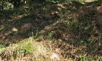 Imagem 3: Casa para locação