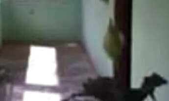 Imagem 2: Imóvel que você precisa