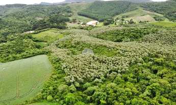 Imagem: Vendas Chácara Almirante Tamandaré PR