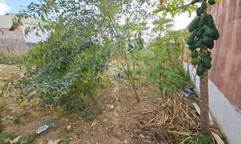 Imagem 2: TERRENO PARA ALUGAR NA RUA HONORIO DE BARROS LEITE