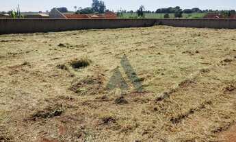 Imagem 6: Terreno à venda, 1100 m² por R$ 150.000 - Mato Seco - Itapetininga/SP