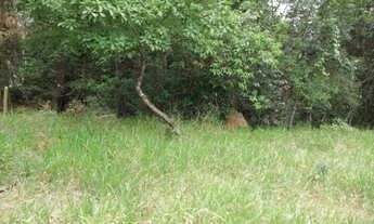 Imagem 3: Oportunidades LOtes de 1.000m a 68km de BH Entra. A parti de 10Mil * WhatsApp