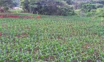 Imagem 3: Chacara em Anicuns - 80 km de Goiânia