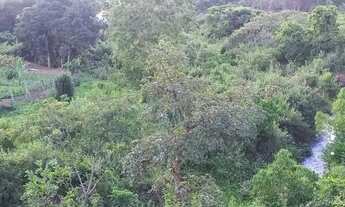 Imagem 7: Chacara em Anicuns - 80 km de Goiânia