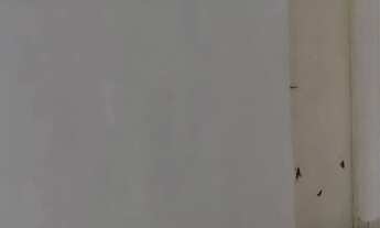 Imagem 2: Apartamento para venda com 44 m² e 2 quartos na Freguesia