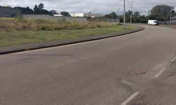 Imagem 5: Alugo terreno com 1.077 mts-Centro Ind. Mauá-Colombo-Direto com prop